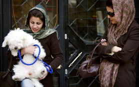 伊朗禁止一切宠物广告 防西方文化入侵 