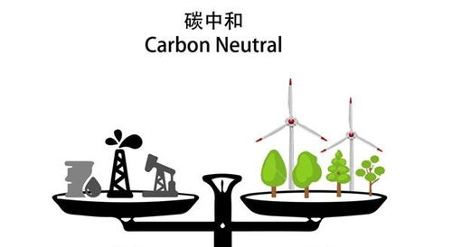 有哪些行为可以减少碳排放(减少碳排放你会做哪些行动)