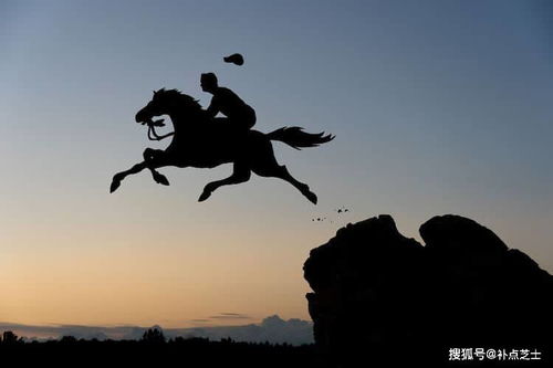 夕阳下的剪影魔术,艺术家用纸板雕刻出梦幻般的 日落自拍