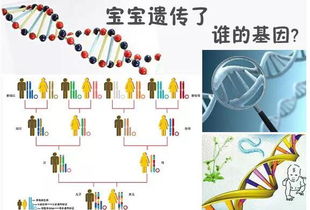 智力60属于低商吗