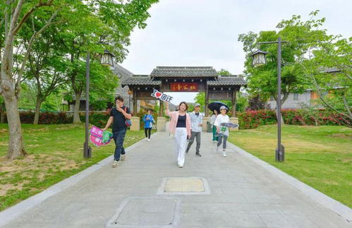 宿迁市文化广电和旅游(2020江苏省宿迁市泗洪县引进旅游管理急需人才公告)