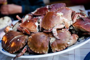 煮熟的海螃蟹,海螺该如何存放 