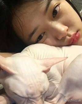 韩国女星深夜直播吸猫却遭网友指责虐待动物 