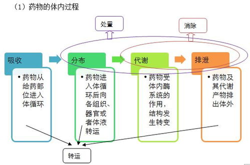 乙肝在研新药ASGR1 TLR8,肝靶向活性,强髓细胞激动剂