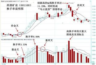 西部矿业会有几个跌停？