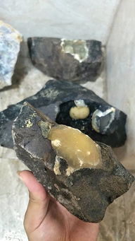 大家有认识这是什么石头的吗,是不是玉石,石头里面长出来的 