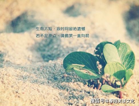 心情不好发朋友圈的句子,悲痛欲绝,写出了多少人的心里话