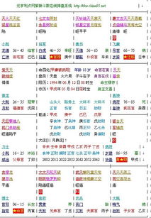 紫微斗数求人帮我看格局.有图 