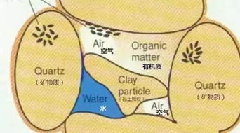 导致土壤板结的原因及其解决方法 