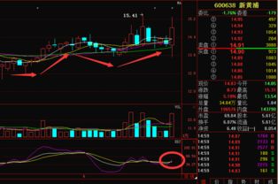 600638新黄浦后期走势如何？