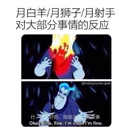 星梗 星座meme合集12.18 12.25