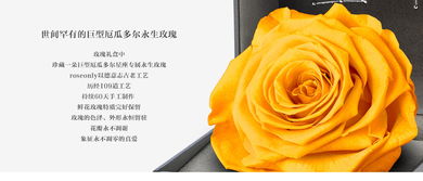 狮子座女生喜欢什么礼物 送狮子座女生什么礼物 狮子座女生生日礼物 roseonly诺誓 