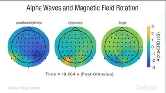 人类的脑电波会对地球磁场的变化做出反应