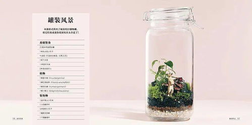 迷你花园 打造你的玻璃生态瓶