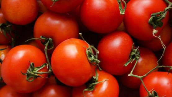 番茄是个宝,常吃番茄的人,身体毛病都少了,一周食用几次最好
