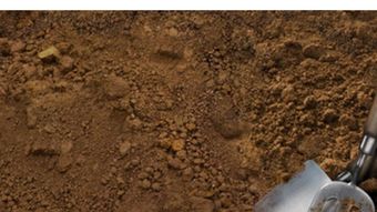 怎么辨别土壤是酸性还是碱性