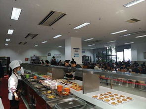 视频 杭州一政府食堂周末向社会开放 与市民共享资源 