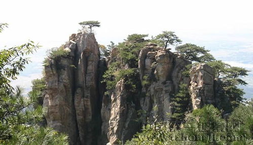 蒙阴县蒙山景区介绍蒙阴蒙山景区门票多少(平邑蒙山旅游景区停车场免费吗)