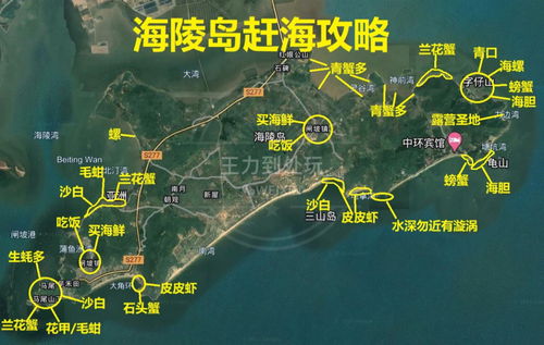 史上第一,海陵岛赶海攻略 