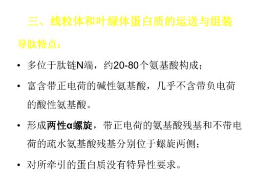 线粒体和叶绿体是半自主性细胞器下载 生物 