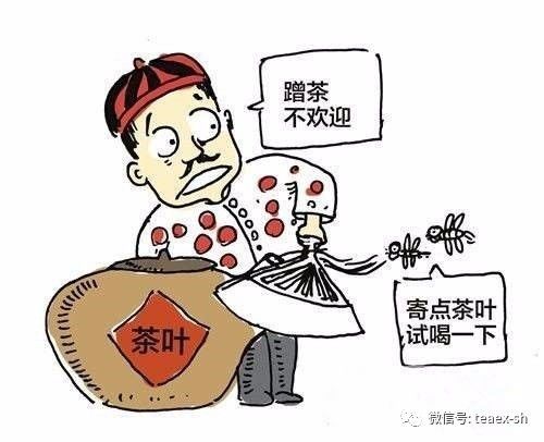 蹭茶的意思是什么意思是什么意思是什么