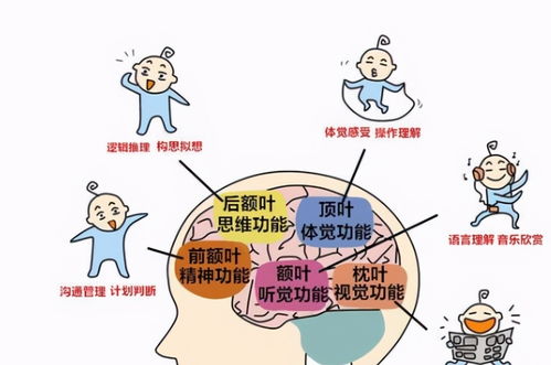 研究发现 孩子出生时的体重暗示智力高低,越接近这个斤两越好