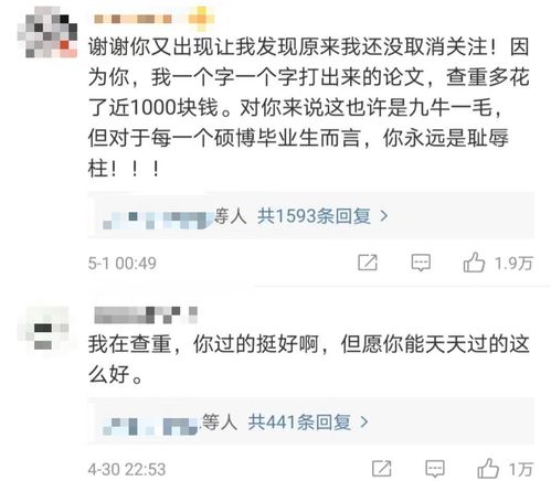 毕业论文引文注释查重