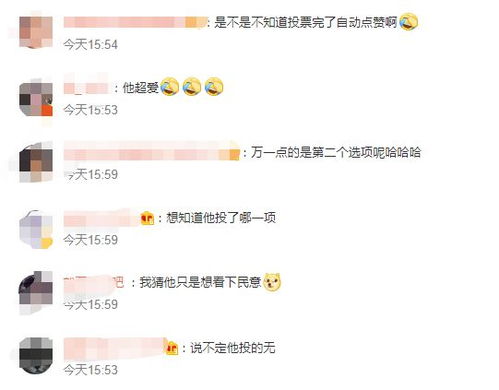 替身文学 李亚鹏投票锋菲cp,娇妻撞脸王菲,幼女与王菲小名相同