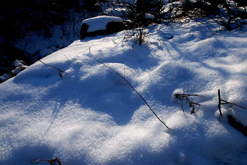 千山踏雪去 独辟蹊径美