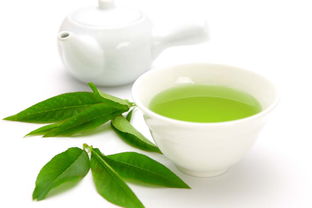 白茶与绿茶的区别 