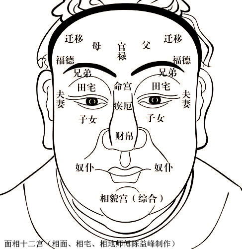 陈益峰 面相如何看子女情况