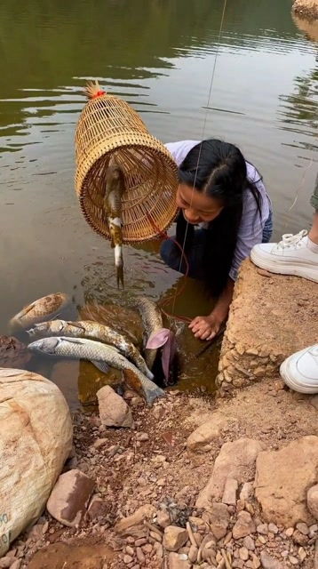 用猪肝钓鳄龟,也不知道它喜不喜欢吃猪肝 