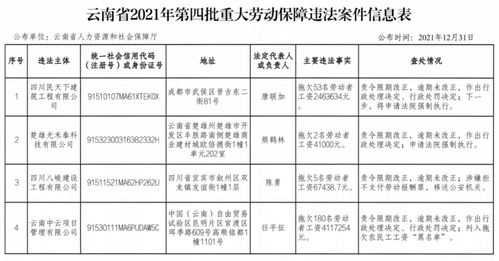 拖欠工资被列入 黑名单 云南6家用人单位被查处