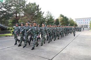 女兵役前训练有哪些项目(女兵有没有役前训练)