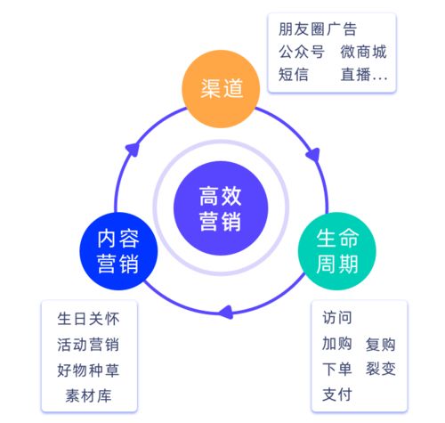 解决私域运营之痛,微动天下推出企量SCRM解决方案