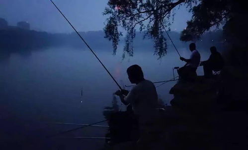 夜间钓鱼,只要牢记这3点,鱼获翻几倍
