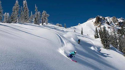 今年还能滑雪吗 2020湾区周边雪场开放情况, 附防疫措施