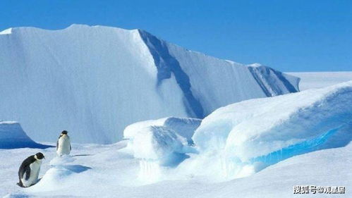 大自然的预警,南极出现异常情况 海面漂浮着大量浮冰