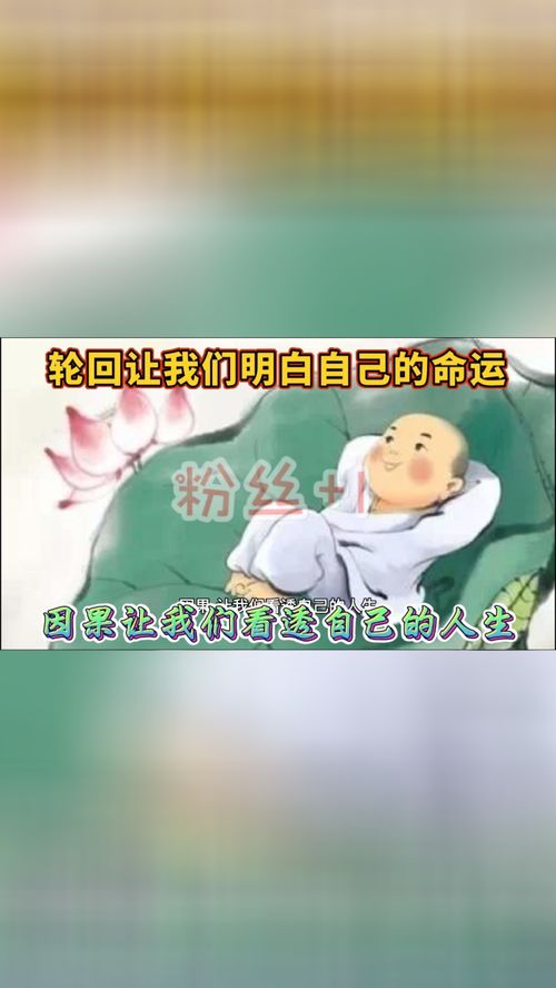 轮回让我们明白自己的命运,因果让我们看透自己的人生 