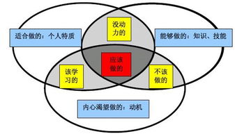 职业规划该怎么写