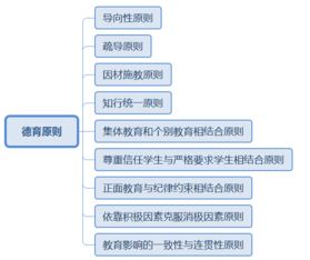 教育知识与能力考试时间