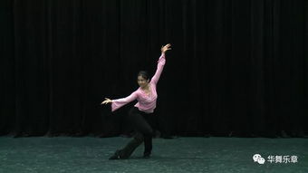2019 中国古典舞高级研修活动