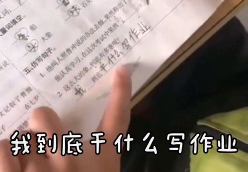 用什么是什么造句小学二年级上册