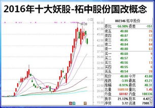 2o16年有妖股潜质的股票有哪些？