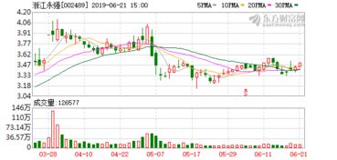 浙江永强集团股份有限公司的介绍