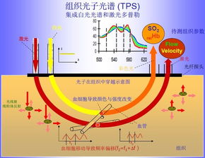 红外热成像脑血流检查费用