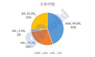 城投公司的金融投资一般干什么的？ 请具体一点，谢谢！