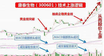 今天下午买的股票明天早上可以卖吗？