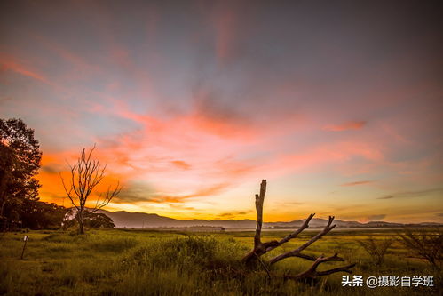 风景那么美为啥拍不出来 这6个风光摄影技巧,帮你风光照片更美