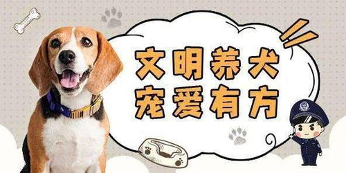 高唐警方联合多部门开展规范养犬夜间巡查执法行动